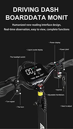Fieabor Electric Kick Scooter for Adults - Rear Drive 2500W Motor