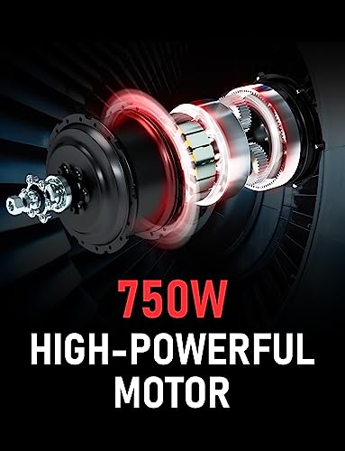 Hipeak Electric Bike for Adults, Ebike 750W/48V/15Ah, 20" x 4.0" Fat Tires Electric Bike