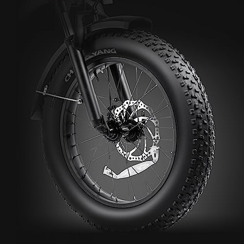 Hipeak Electric Bike for Adults, Ebike 750W/48V/15Ah, 20" x 4.0" Fat Tires Electric Bike