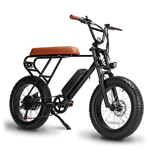 Fat Tire Electric Bike, 500W Brushless Motor, 48V/13Ah Removable Lithium-Ion Battery
