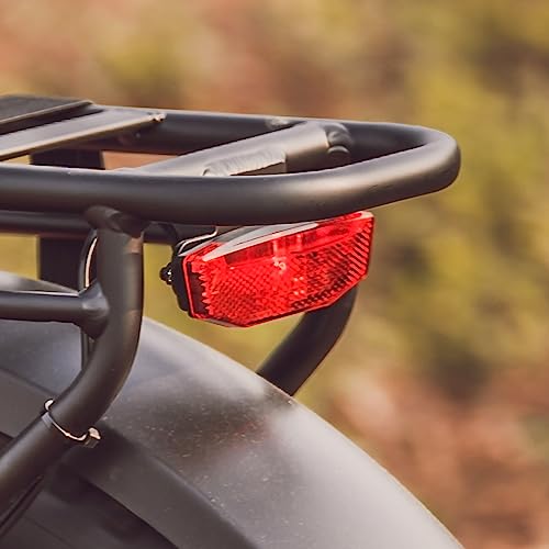 Hipeak Electric Bike for Adults, Ebike 750W/48V/15Ah, 20" x 4.0" Fat Tires Electric Bike