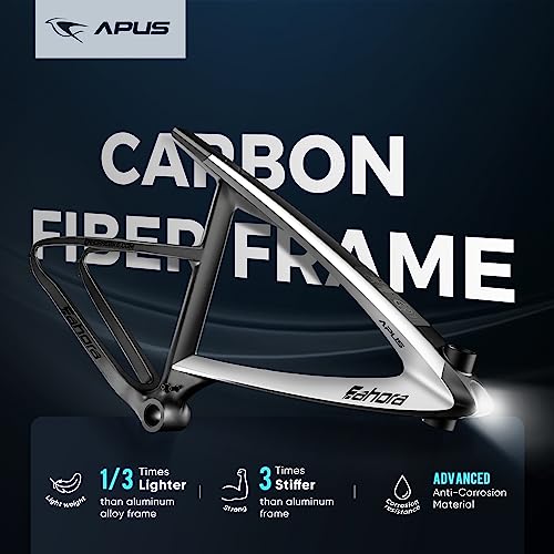 eAhora APUS Peak 1000W Electric Bike 20Ah Carbon Fiber Bikes 26 Inch Electric Mountain Bike