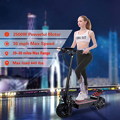 Fieabor Electric Kick Scooter for Adults - Rear Drive 2500W Motor