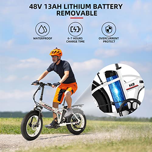Electric Bike for Adults,750W Folding Electric Bike with 48V 13Ah Removable Battery