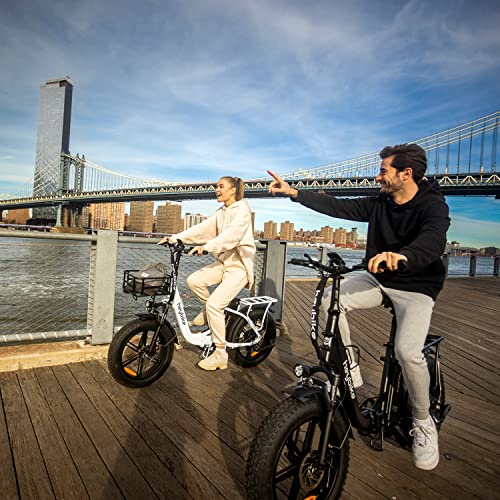 Heybike Ranger Electric Bike for Adults 500W Foldable Ebike with 48V 15Ah Removable Battery