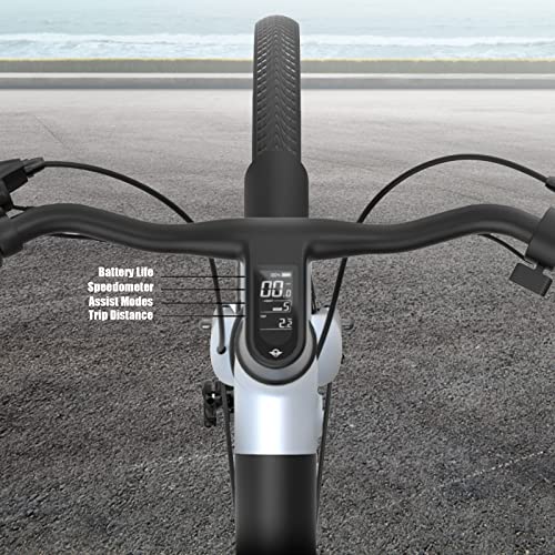 Bird Electric Bike white for adults 500W Motor, 26" Woman Bird EBike Up to 50 MI - 36V Removable Battery