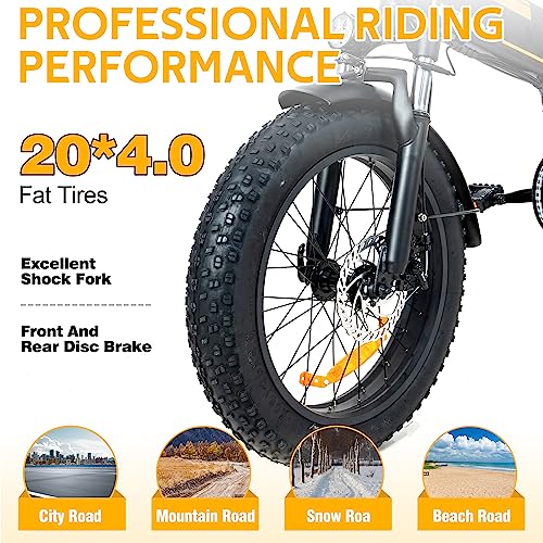 HITWAY Electric Bike for Adults 20" x4.0 Fat Tire Electric Bicycle with 750W Motor