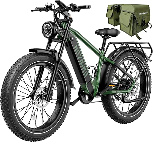 Heybike Brawn Electric Bike 48V 18Ah Removable Battery Ebike