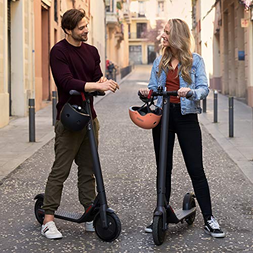 Segway Ninebot E22 E45 Electric Kick Scooter, Lightweight and Foldable