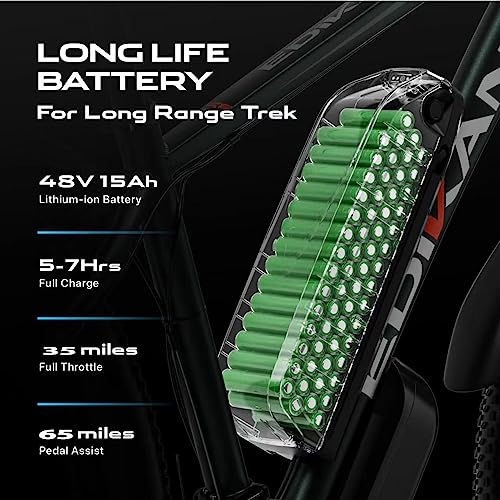 Electric Mountain Bike 29'' 750W 48V 15Ah Battery Removable E Bicycle