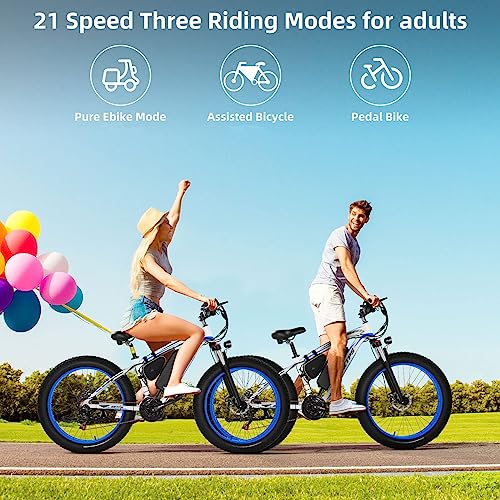 26''Electric Bike for Adults with 48V 13Ah Removable Battery,750W Fat Tire
