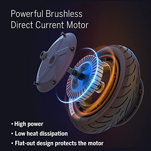 Segway Ninebot F40 Electric Kick Scooter, 350W Powerful Motor