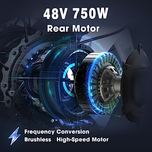 MEELOD Electric Bike Ebike with 750W Brushless Motor