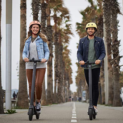 Segway Ninebot E22 E45 Electric Kick Scooter, Lightweight and Foldable