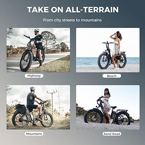 Heybike Explore Electric Bike for Adults 48V 20AH Removable Massive Battery