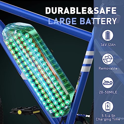 HITWAY Electric Bike for Adults, 26" E Bike 500W Removable Electric Bike