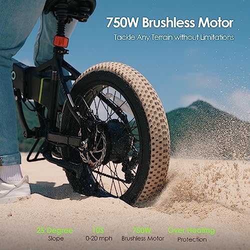 Oraimo 750W-1000W Electric Bike for Adults, 557Wh UL-Listed Hidden Battery Up to 45 Miles