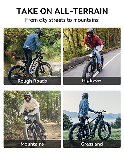 Heybike Brawn Electric Bike 48V 18Ah Removable Battery Ebike