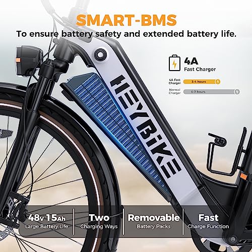 Heybike Cityrun Electric Bike, 500W City Cruiser Ebike, 48V 15Ah Removable Battery