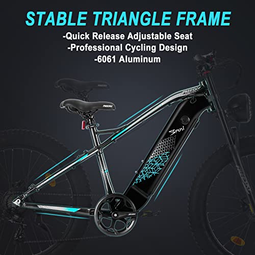 Electric Bike, FREESKY 750W Electric Bike for Adults BAFANG Motor 48V 15Ah