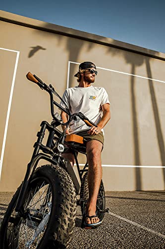 Fat Tire Electric Bike, 500W Brushless Motor, 48V/13Ah Removable Lithium-Ion Battery