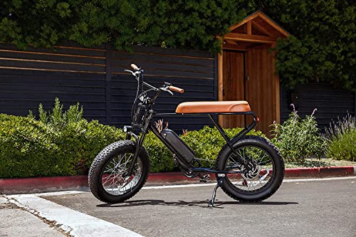 Fat Tire Electric Bike, 500W Brushless Motor, 48V/13Ah Removable Lithium-Ion Battery