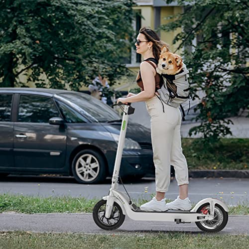 isinwheel X3Pro Electric Scooter, 1200W Motor E-Scooter,12" Fat Tires