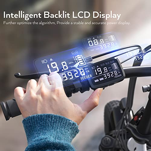 Gopina Electric Bike, 16" x 3.0 Fat Tire Electric Bike for Adults, 350W Folding Electric Bike