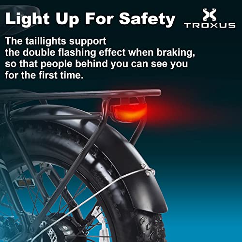 TROXUS Electric Bike for Adults with 750W Motor