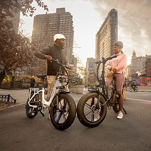 Heybike Ranger Electric Bike for Adults 500W Foldable Ebike
