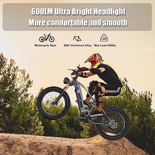 DAMSON Electric Bike 1000W 48V 20AH/17.5AH Removable Battery Mountain Electric Bicycle