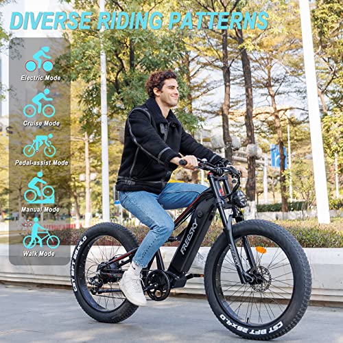 FREESKY Electric Bike for Adults 1000W BAFANG Motor 48V 20Ah Samsung Cells Battery 26" Fat Tire