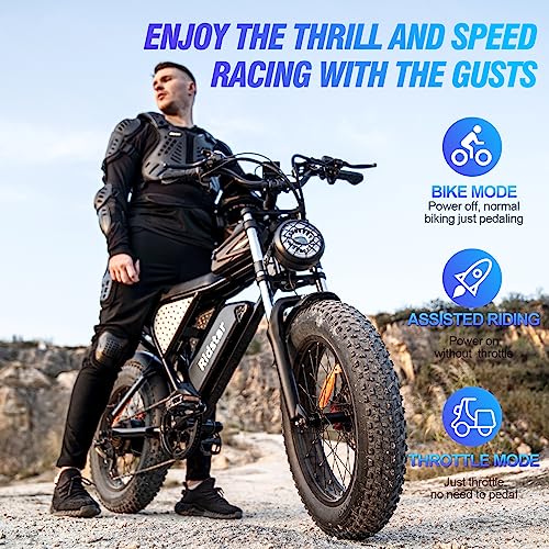 Ridstar Electric Motorcycles for Adults, 1000W 20AH 30MPH Electric Bike 20'' Fat Tire