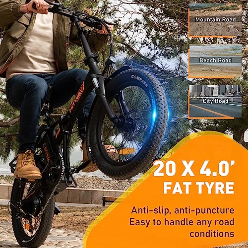 HITWAY Electric Bike for Adults, 20" x 4.0 Fat Tire with 750W Motor