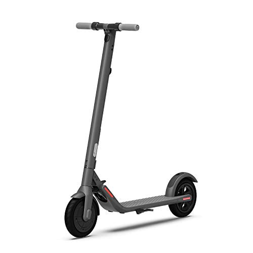 Segway Ninebot E22 E45 Electric Kick Scooter, Lightweight and Foldable
