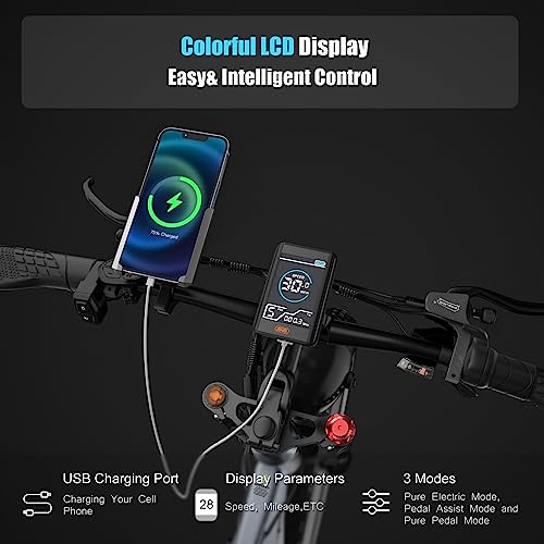 DAMSON Electric Bike 1000W 48V 20AH/17.5AH Removable Battery Mountain Electric Bicycle