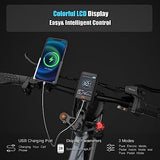 DAMSON Electric Bike 1000W 48V 20AH/17.5AH Removable Battery Mountain Electric Bicycle