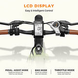 Heybike Sola Electric Bike for Adults 75 Miles Range