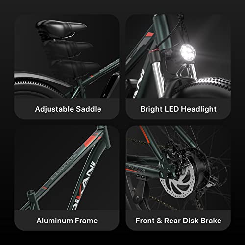 Electric Mountain Bike 29'' 750W 48V 15Ah Battery Removable E Bicycle