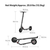Segway Ninebot E22 E45 Electric Kick Scooter, Lightweight and Foldable