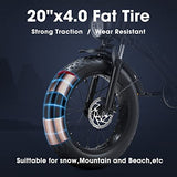 MEELOD Electric Bike Ebike with 750W Brushless Motor