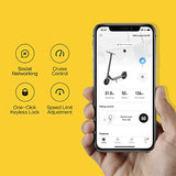 Segway Ninebot E22 E45 Electric Kick Scooter, Lightweight and Foldable