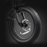 Hipeak Electric Bike for Adults, Ebike 750W/48V/15Ah, 20" x 4.0" Fat Tires Electric Bike