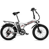 Electric Bike for Adults,750W Folding Electric Bike with 48V 13Ah Removable Battery