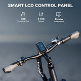 Heybike Explore Electric Bike for Adults 48V 20AH Removable Massive Battery