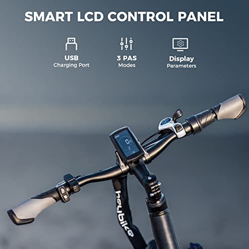 Heybike Explore Electric Bike for Adults 48V 20AH Removable Massive Battery