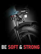 Hipeak Electric Bike for Adults, Ebike 750W/48V/15Ah, 20" x 4.0" Fat Tires Electric Bike