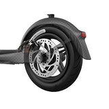 Segway Ninebot F40 Electric Kick Scooter, 350W Powerful Motor