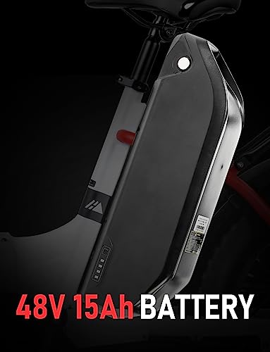 Hipeak Electric Bike for Adults, Ebike 750W/48V/15Ah, 20" x 4.0" Fat Tires Electric Bike