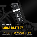 Heybike Ranger Electric Bike for Adults 500W Foldable Ebike